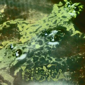 Unacceptable Agricultural Practices/Pelodytes Deformities