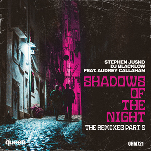 Shadows of the Night (Dirty Disco Airplay Edit Remix)