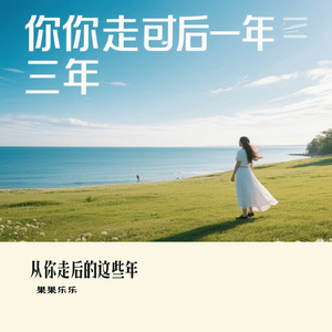 从你走后的这些年