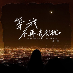 等我不再去打扰 (DJ版)