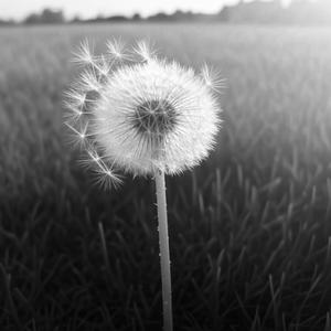 When It's Gone (feat. Algorythm)