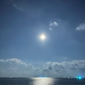 月光下的旋转诗篇