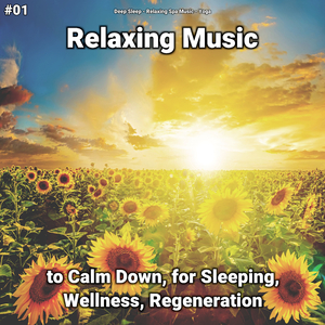 Relaxing Music, Pt. 16