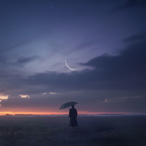 Glass Wings over Midnight