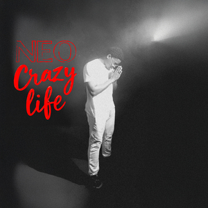Crazy Life