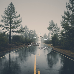 Night with Guitar and Vinyl