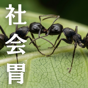 社会胃