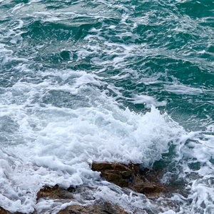 每个人都会 方大同