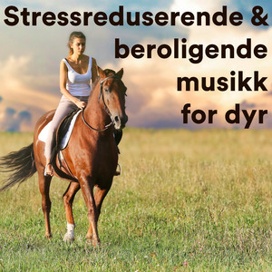 Deep Sleep Meditation for Cows