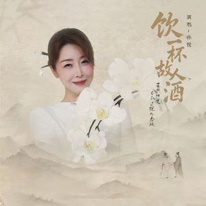 孙悦-饮一杯故人酒