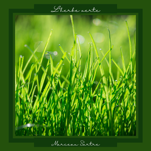 L’herbe verte