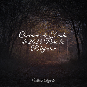 Florecimiento Del Amor