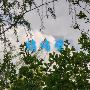 情绪壁（prod.aura+fas+bino）