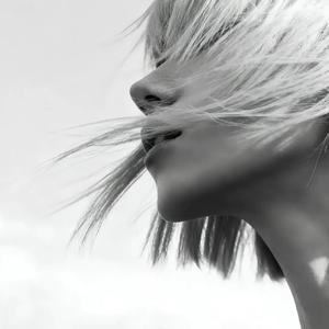 寒冬向北（冬）