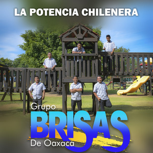 Chilena Amoltepecana