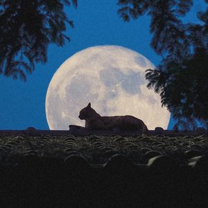 很高兴与你相恋 prod by EVOMUSIC