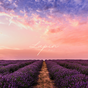 Lupin