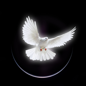 Peace of Light