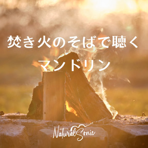 Still Night, Flickering Light