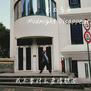 我不要什么爱情歌曲