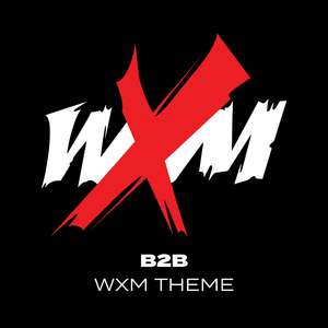 B2B WXM Theme