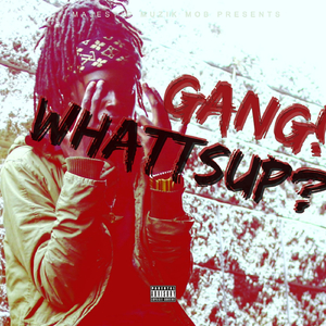 Gang! Whatssup?
