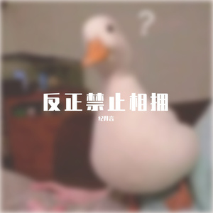 反正禁止相拥