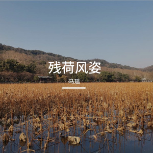 残荷风姿（钢琴曲）