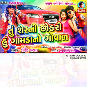 Tu Sher Ni Chokari Hu Gamdano Govad