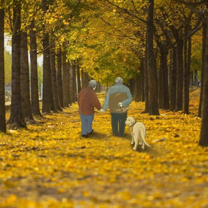 当你老了（女生版）（翻自 莫文蔚）