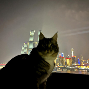 教室窗外的夏天