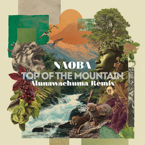 TOP OF THE MOUNTAIN (Alunawachuma remix)