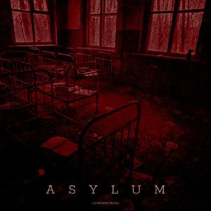 Asylum