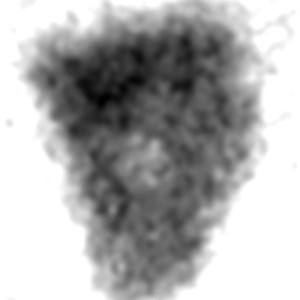 Slap in the Face of Democracy