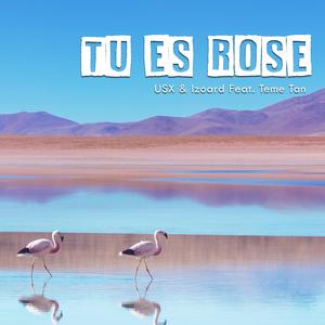 Tu Es Rose (feat. Témé Tan)