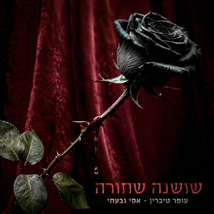 שושנה שחורה