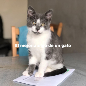 Sultry Chill Out Saturday