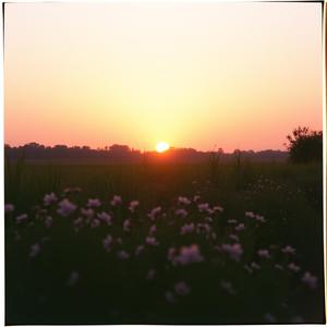 晨光里的你_回忆版 by 月光