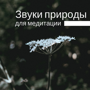 Незавершенный