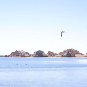 耍把戏填翻（霍去病版）