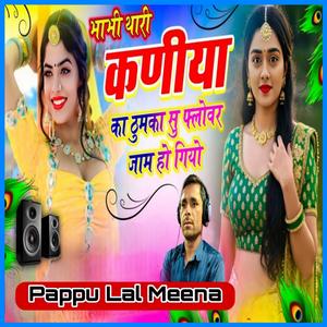 भाभी थारी कणीया का ठुमका सु फ्लोवर जाम हो गियो