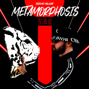 Welcome to the Jungle