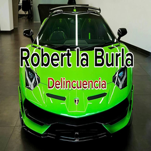 Delincuencia