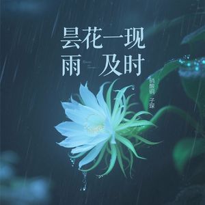 昙花一现雨及时