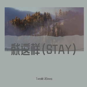 STAY(就这样)（cover by BLACKPINK)