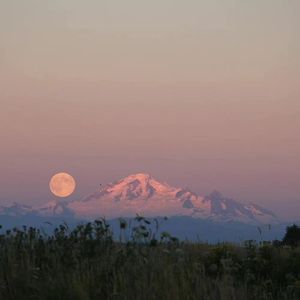 亦是此间少年(demo)