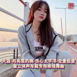 DJ国飞-天涯-月亮惹的祸-伤心太平洋-全重低音雷立体声车载专用串烧舞曲（DJ国飞 remix）