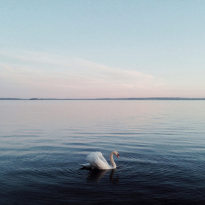 Samuel Smells Like Farty Poo Woo Hoo