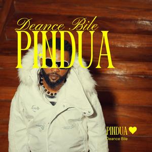 Pindua
