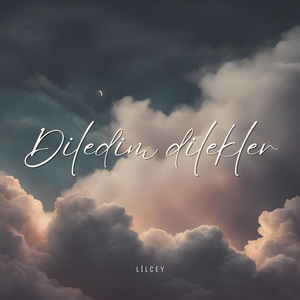 Diledim Dilekler